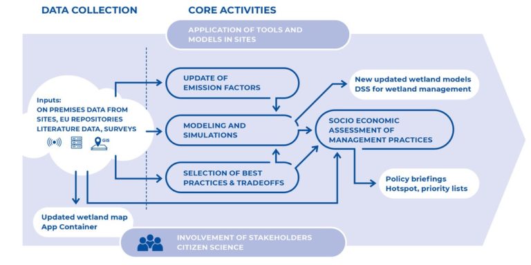 Why is wetland restoration important? - Wetland Restoration Project Pipeline