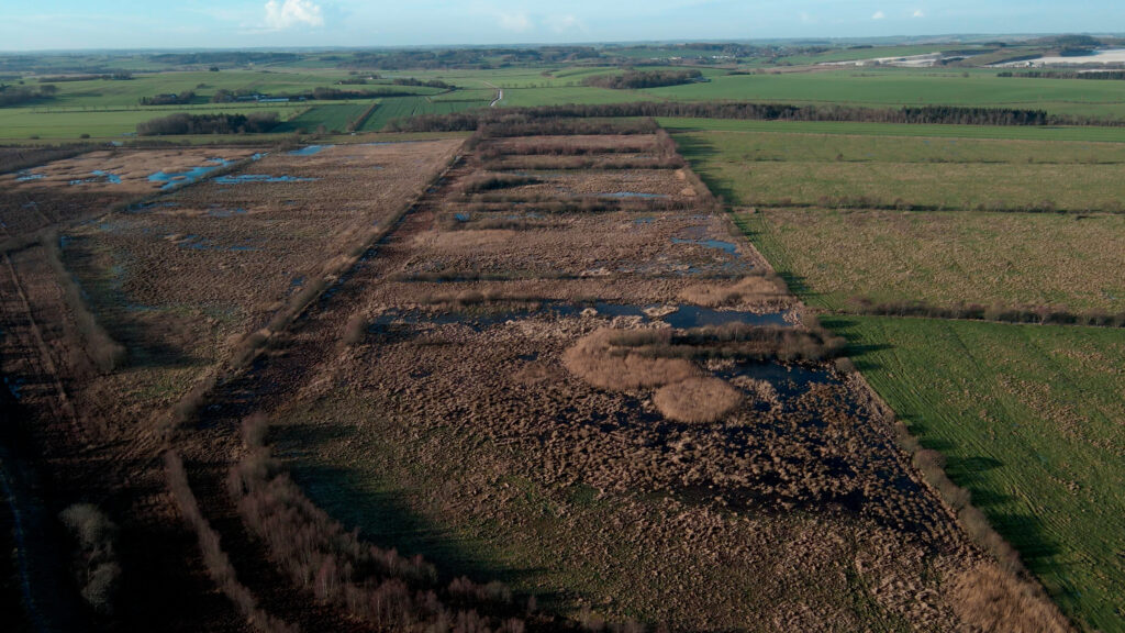 wetland restoration project